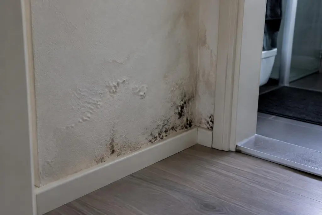 Lekdetectie Nieuwkoop – vochtplek met schimmel op een muur